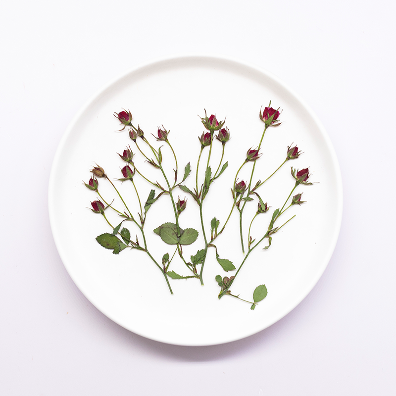 Dried Flower Bookmark - 12pcs,Dried Rose Multi Bud Branches Pressed