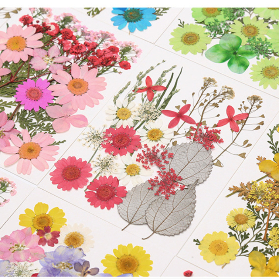 Un-dyed Natural Pressed Dried  - đánh giá và giá Dried Flower Bookmark