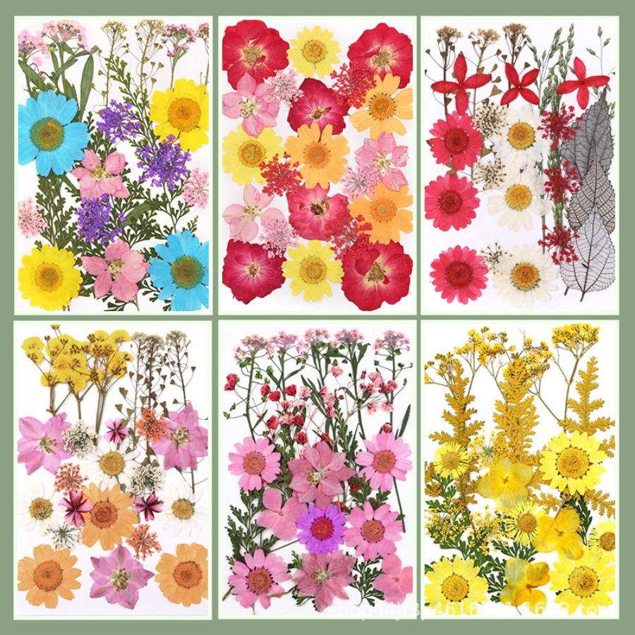 Un-dyed Natural Pressed Dried  - đánh giá và giá Dried Flower Bookmark