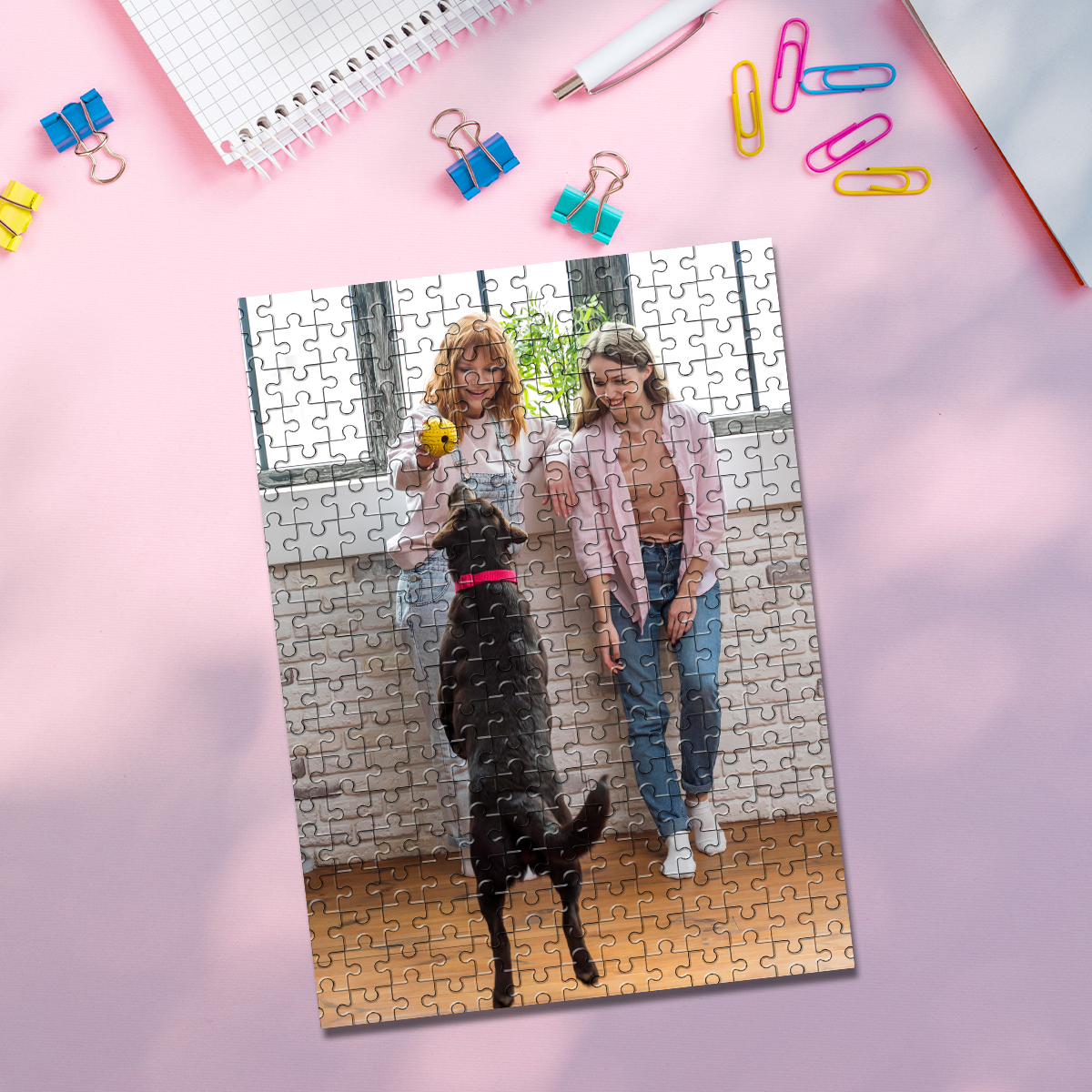 35/150/300/500/1000pcs Persona - đánh giá và giá Pet Portrait Custom