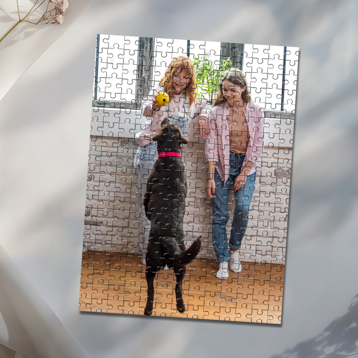 35/150/300/500/1000pcs Persona - đánh giá và giá Pet Portrait Custom
