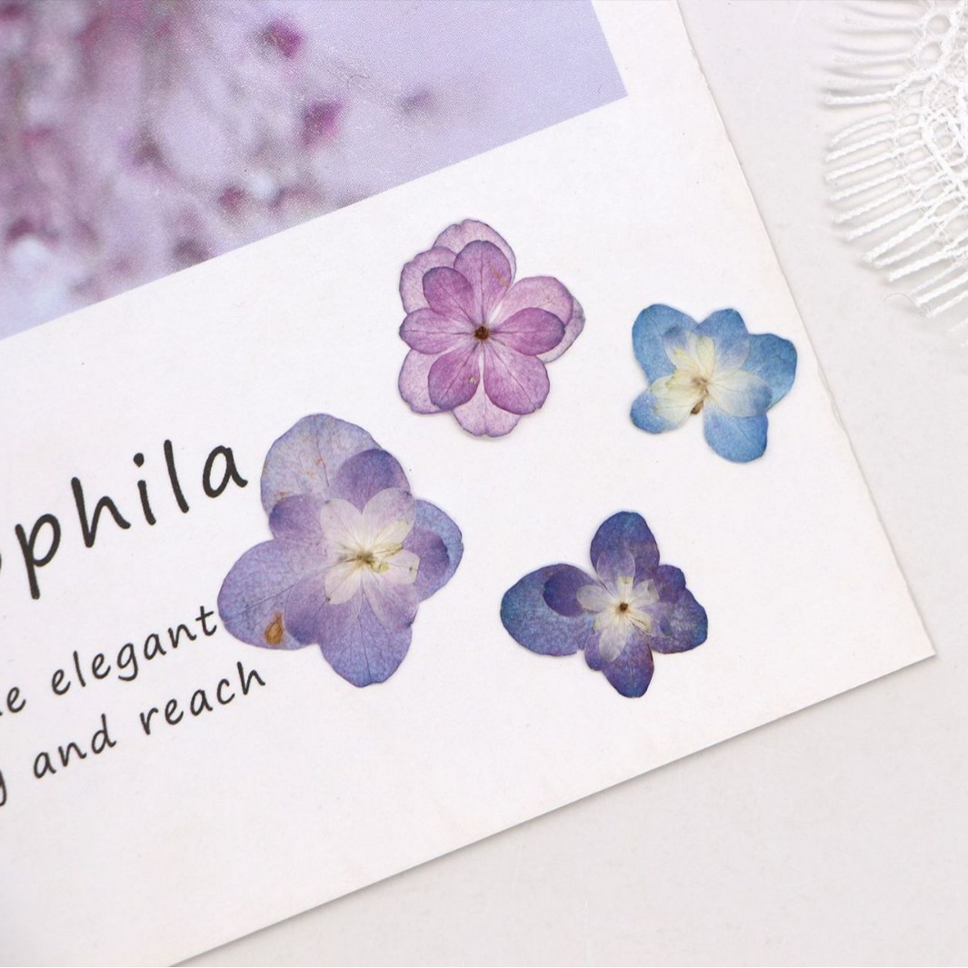60Pcs Mini Double-Flowered Hyd - đánh giá và giá Dried Flower Bookmark